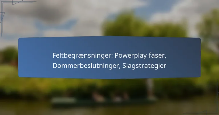 Feltbegrænsninger: Powerplay-faser, Dommerbeslutninger, Slagstrategier
