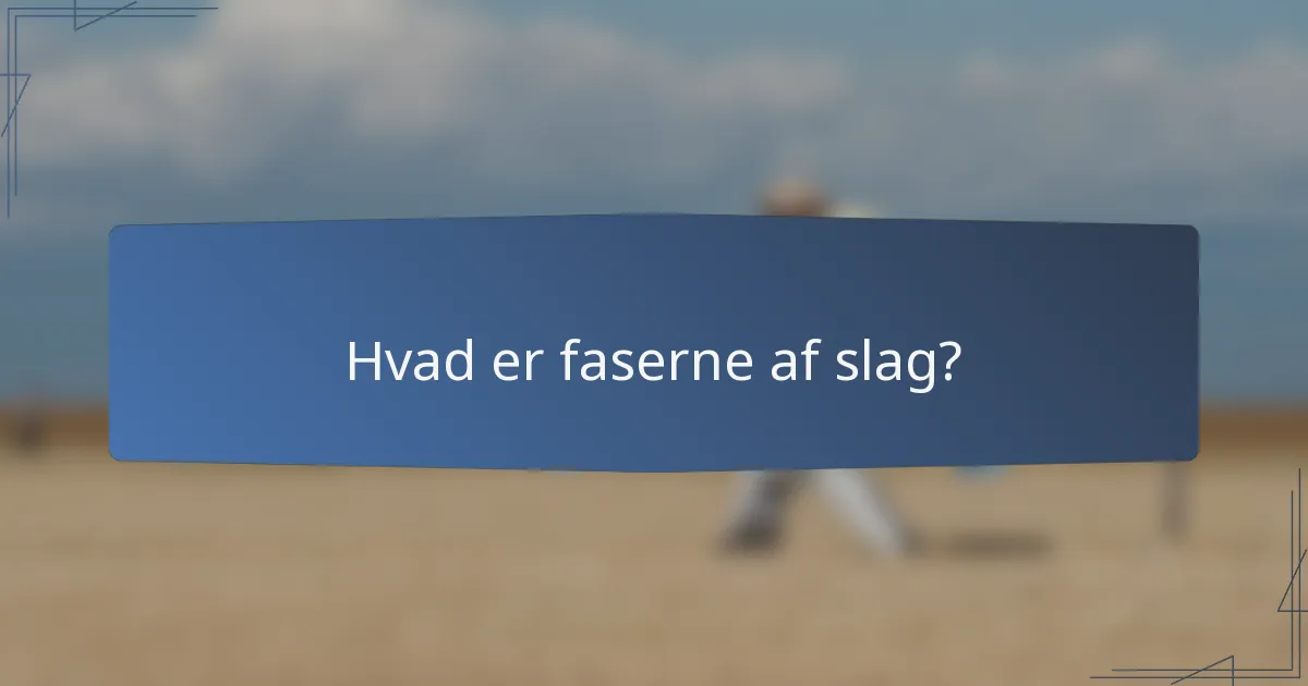 Hvad er faserne af slag?